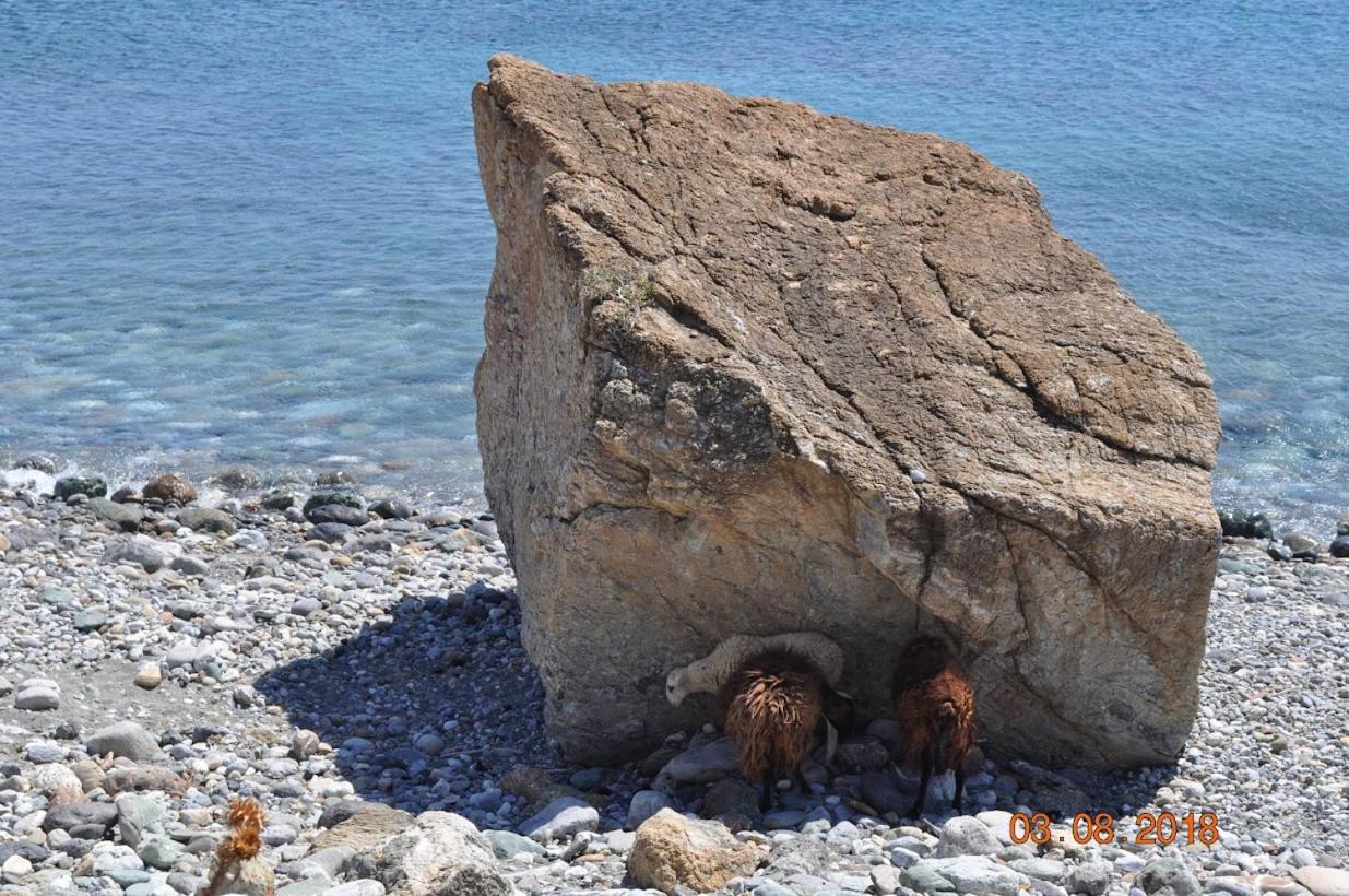 Island Villa أغيا غاليني المظهر الخارجي الصورة