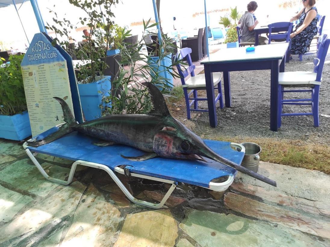 Island Villa أغيا غاليني المظهر الخارجي الصورة
