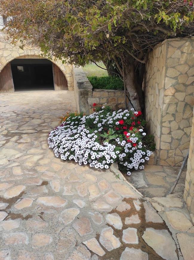 Island Villa أغيا غاليني المظهر الخارجي الصورة