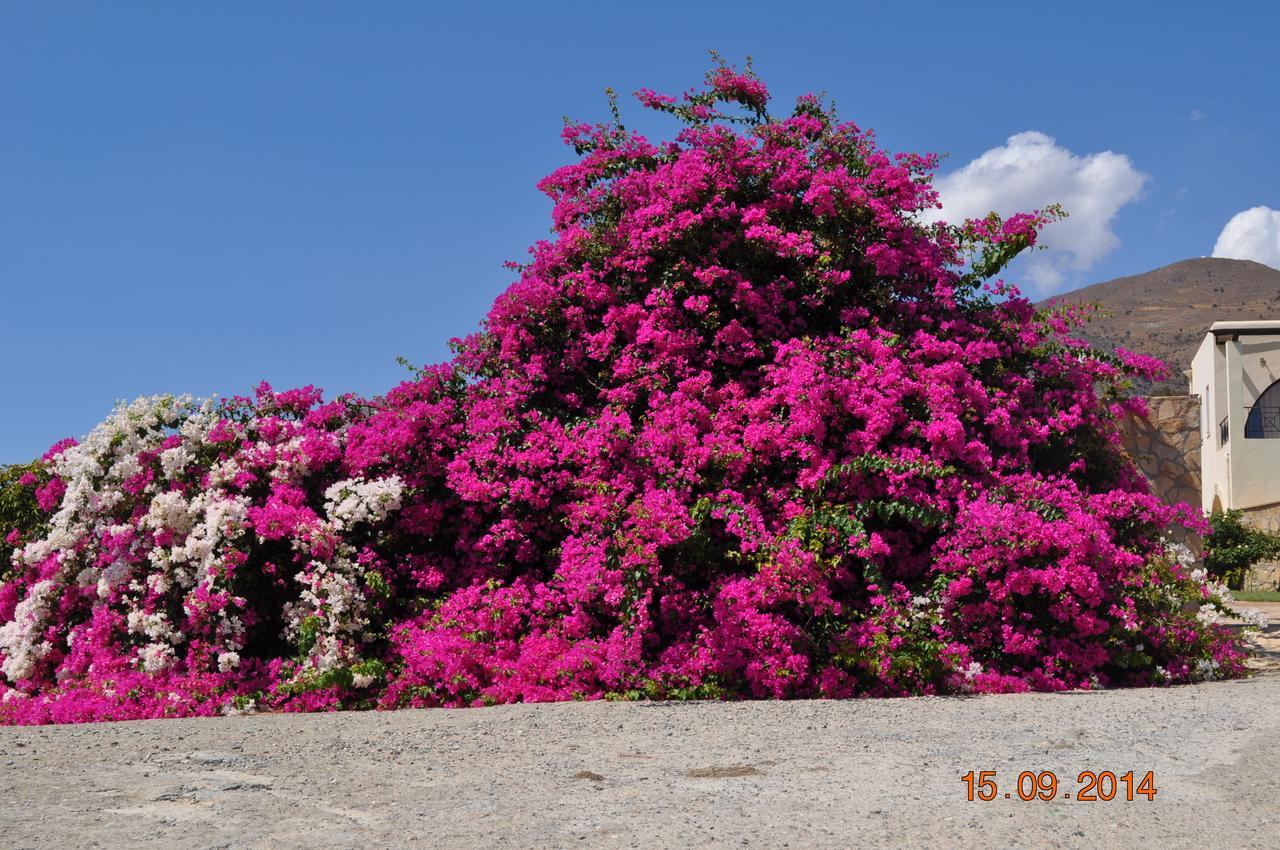 Island Villa أغيا غاليني المظهر الخارجي الصورة