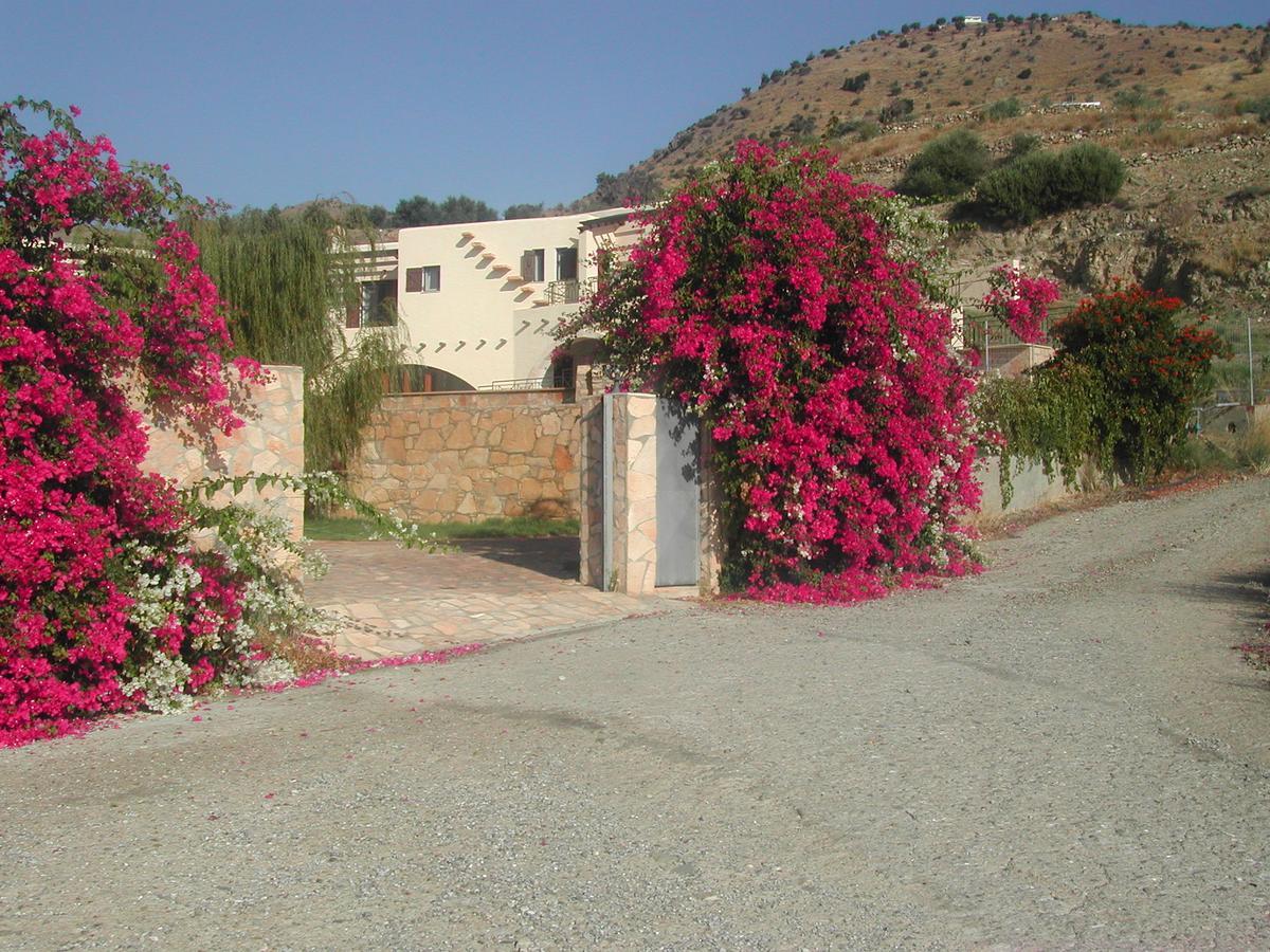 Island Villa أغيا غاليني المظهر الخارجي الصورة
