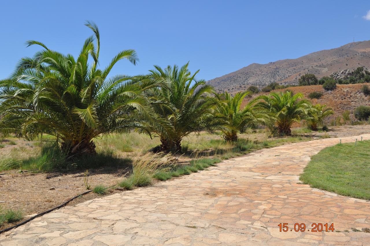 Island Villa أغيا غاليني المظهر الخارجي الصورة
